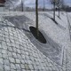 thumb_baumroste_spezial001.jpg