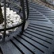 thumb_baumroste_strahlen001.jpg